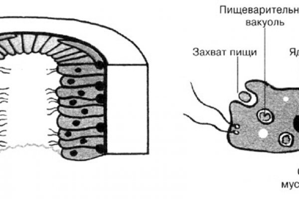 Кракен сайт ссылка k2tor