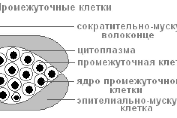 Кракен даркнет маркет ссылка тор